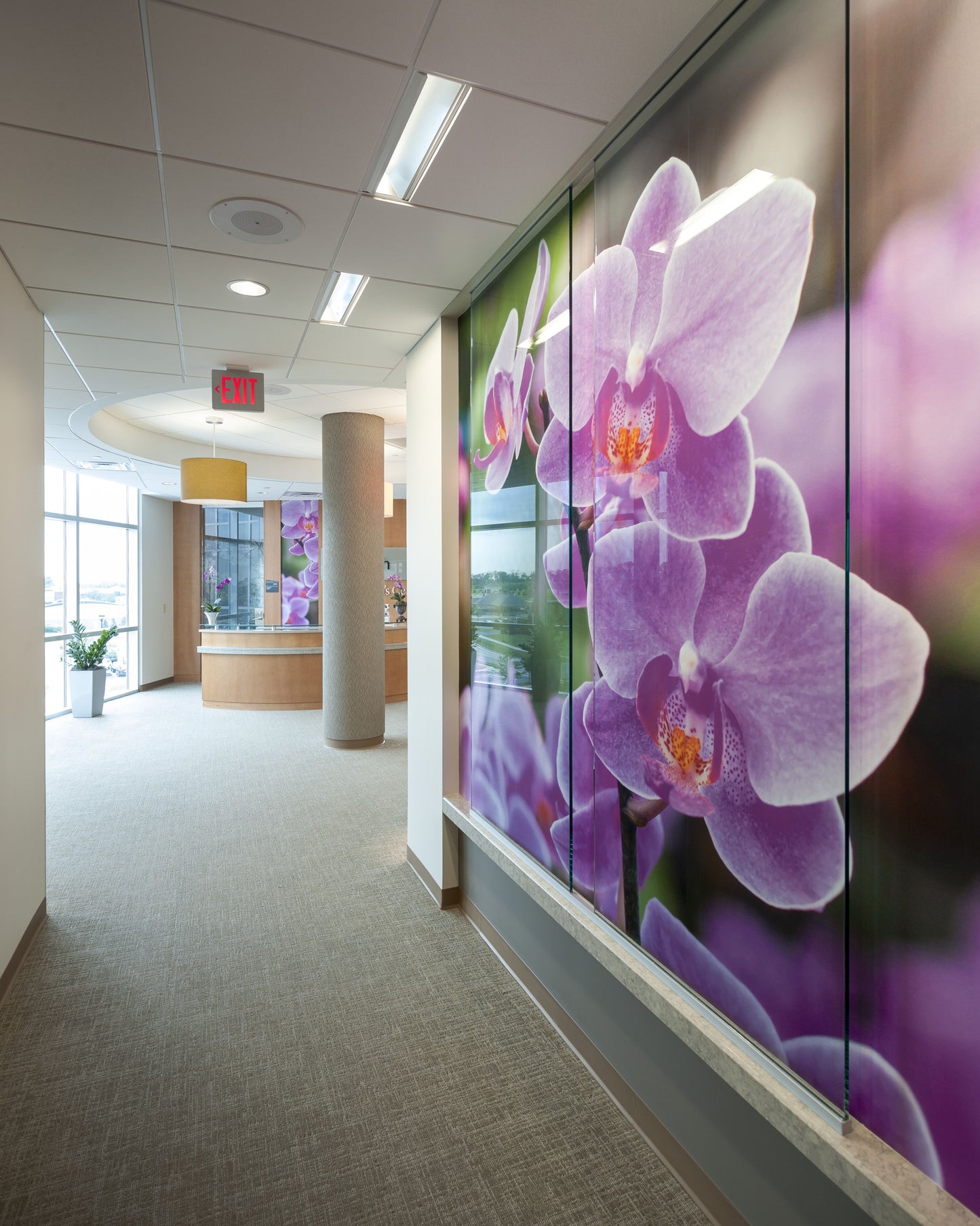 Vinilo Esmerilado para Privacidad