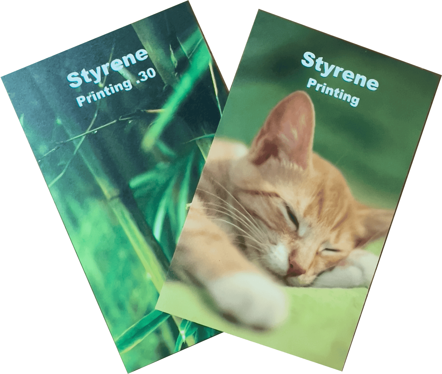 Cartel Rigido PVC Sintra