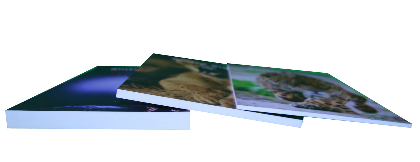 Cartel Rigido PVC Sintra