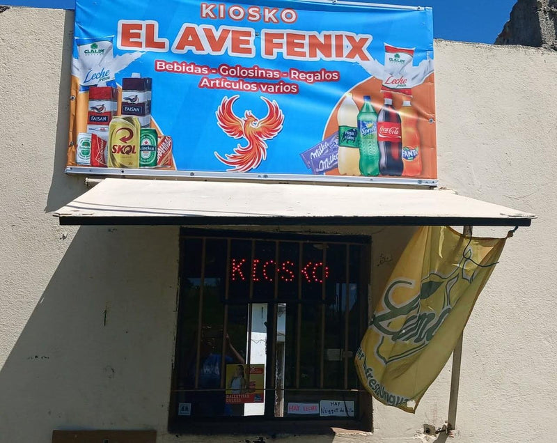 Pasacalle de Egresados — trabajo real de Tematik instalado en Uruguay (foto 58 de 95)