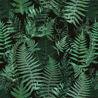 Hojas 017