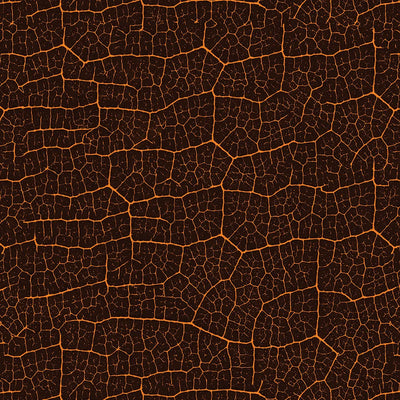 Hojas 041